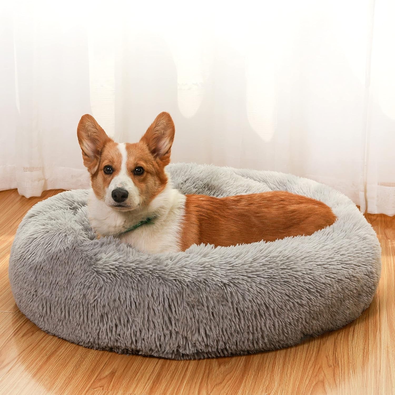 JEMA Calming Dog Beds for Medium Large Dogs,Washable Donut Cuddler Pet Bed Cushions,Durable & Cozy Soft Dog Bed with Removable Pad 24 Inch