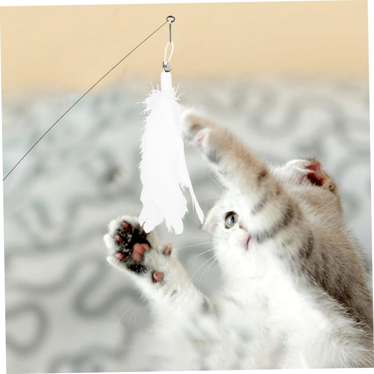 1 Set Cat Toy Cat Wand Suction Cups Toys Tiny Cats Teasing Sticks for Cat Funny Teasing Sticks Plume Teaser Wand Teaser for Cat Plume Teasing Sticks Cat Teaser Pet Kitten Plastic