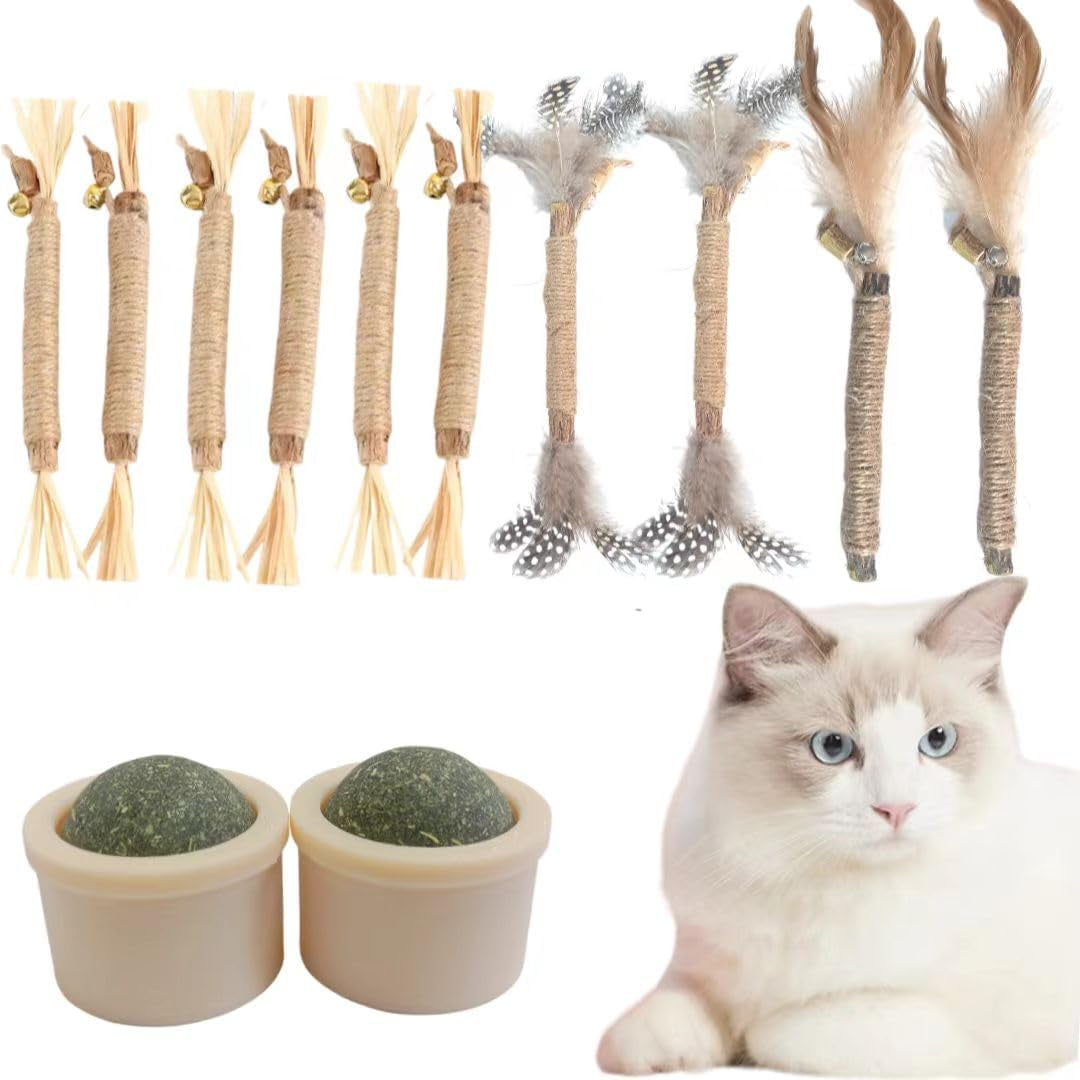 Chew Toys for Cats(12 Pcs), Silvervine Sticks for Cats ，Cat Teething Toys, Catnip Chew Sticks ，Cat Toys for Indoor Cat Kitten Teeth Grinding，Silvervine Cat Feather Toy, Cat Chew Toy