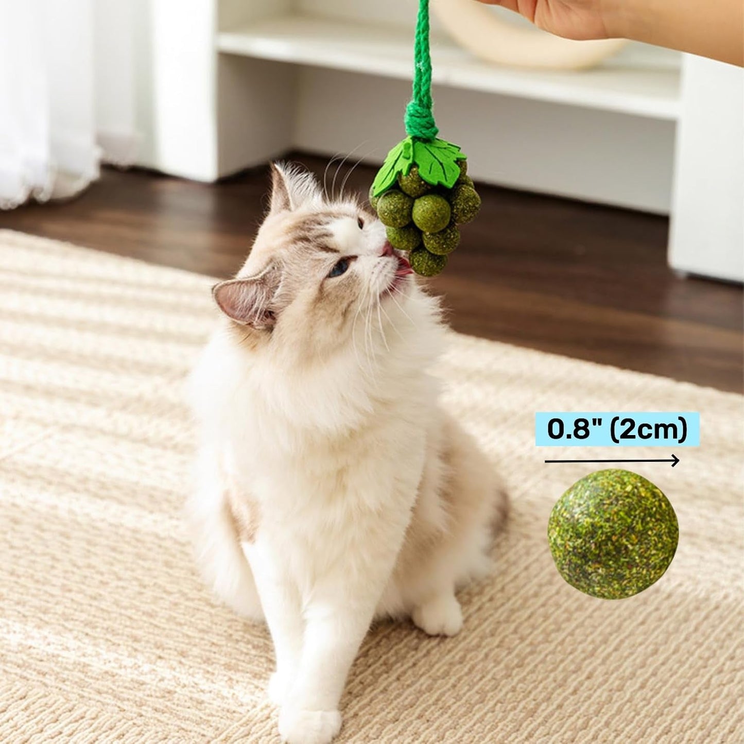 13Pcs Interactive Cat Ball String Cute Crinkle Sound Cat Toy Accessories for Indoor Cats