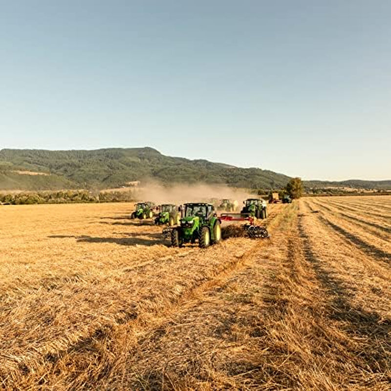 | 15 Oz. Fresh Teff Grass Hay | Available in 15 Oz. & 40 Oz. Pouches | Nutritious, Delicious Meal for Rabbits, Guinea Pigs, Gerbils, and Other Small Pets