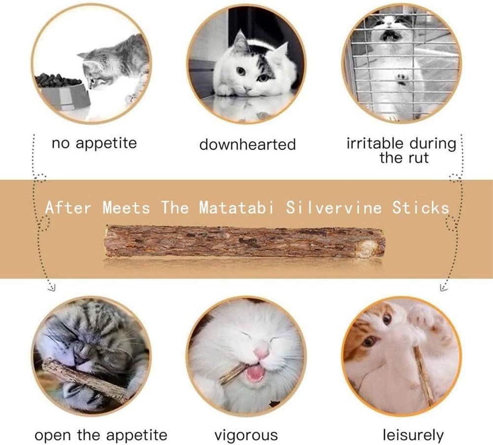 20PCS Cat Catmint Sticks Natural Matatabi Silvervine Sticks, Kittens Chew Stick Toys Teeth Molar Tools Dental Cleaning, 100% Organic Silver Vine Treats Molar Chew Toy for Cat Kitten