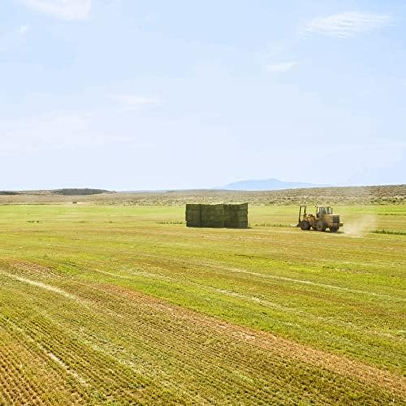 | 15 Oz. Fresh Orchard Grass Hay | Available in 15 Oz. & 40 Oz. Pouches | Nutritious, Delicious Meal or Snack for Rabbits, Guinea Pigs, Hamsters, Gerbils, and Other Small Pets