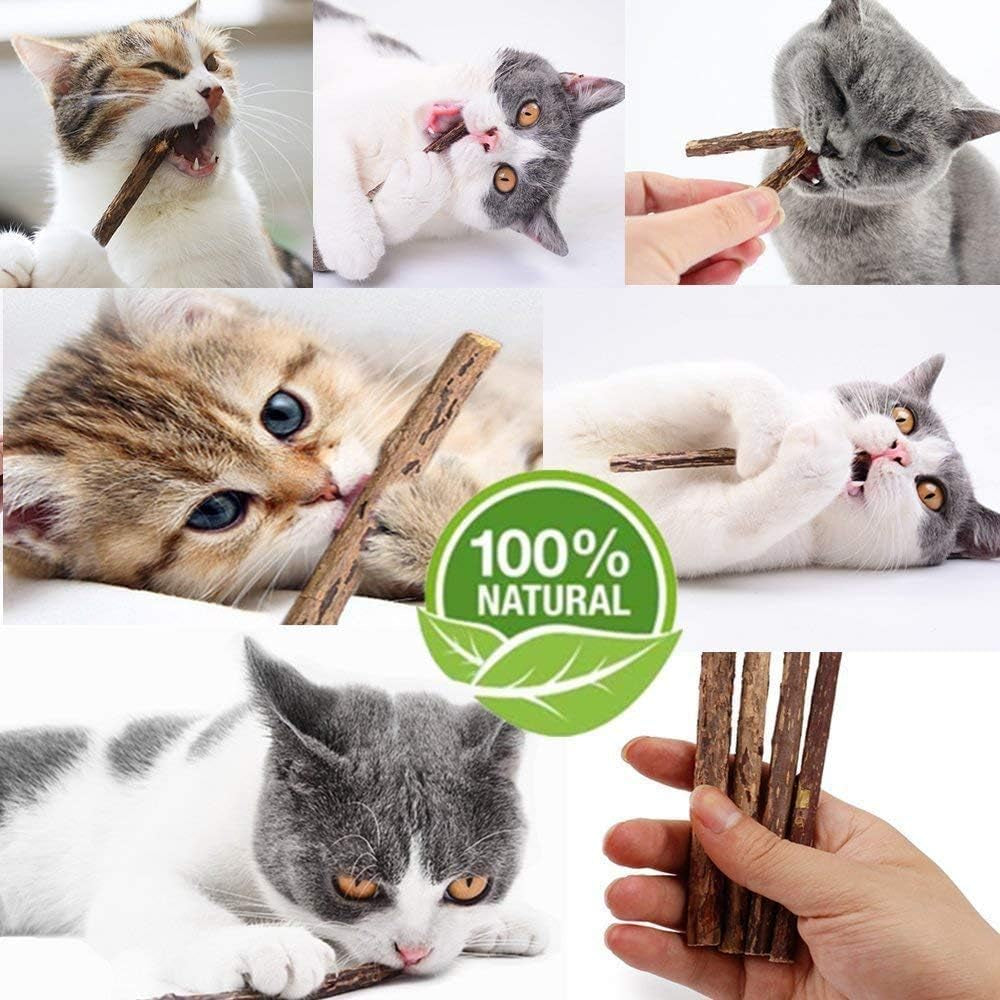 20PCS Cat Catmint Sticks Natural Matatabi Silvervine Sticks, Kittens Chew Stick Toys Teeth Molar Tools Dental Cleaning, 100% Organic Silver Vine Treats Molar Chew Toy for Cat Kitten