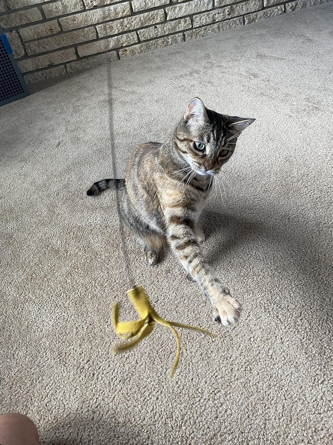 Kitty Kraken | Suede Brown Leather | Natural Birch Wood Rod | Great Teaser and Exerciser for Smaller Cats and Kitten | Interactive Soft | Handcrafted in the USA | 1-Pack