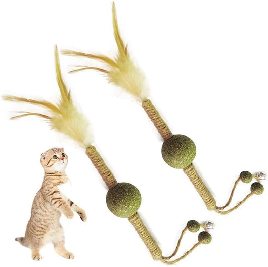 2 Packs of Catnip Molar Sticks, Indoor Interactive Cat Chewing Toy Cat Teeth Cleaning Relieve Boredom Toy Feather Funny Cat Stick