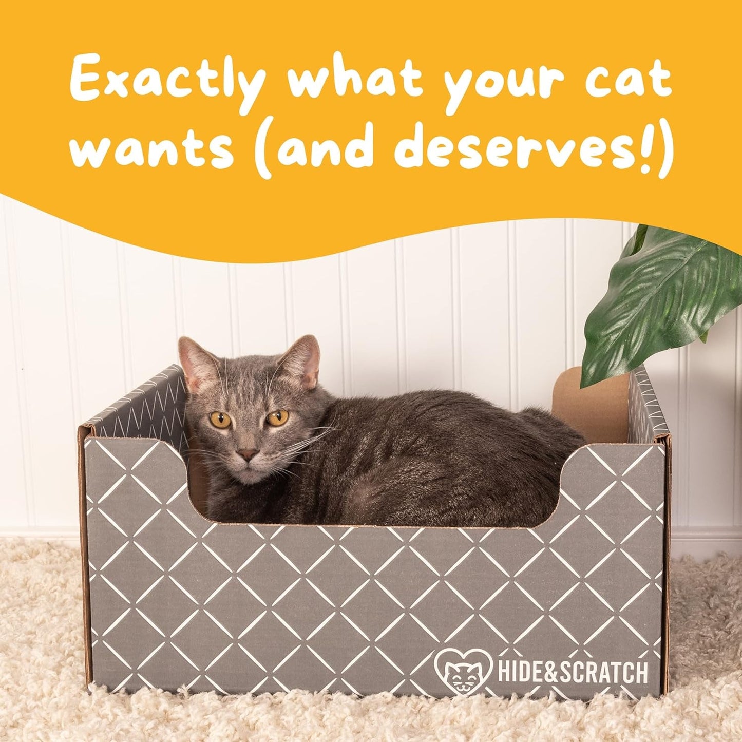 Hide & Scratch Extra-Large Heavy Duty Cardboard Cat Scratcher Box and Cat Bed with Refillable Scratch Pad