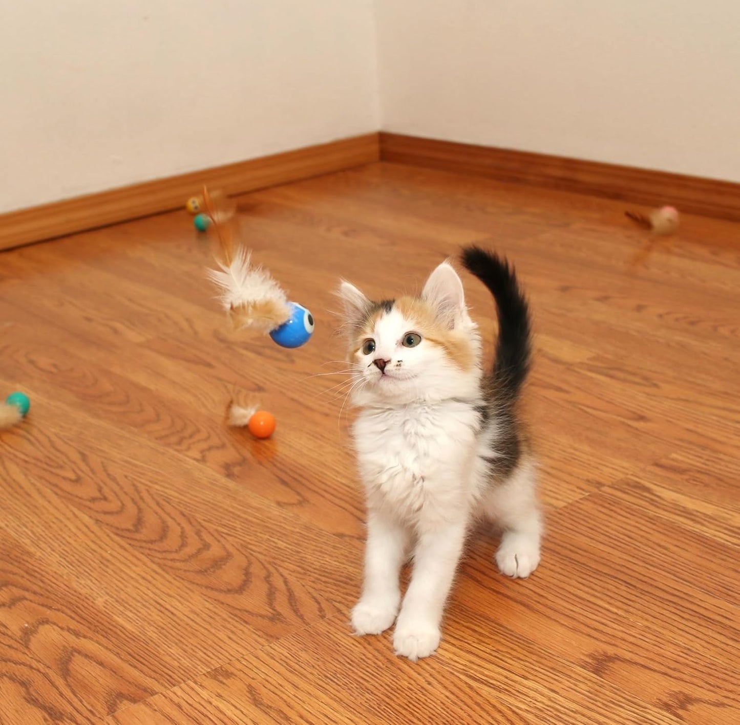 3 Pack Interactive Bouncy Ball with Natural Feathers for Indoor Cats and Kittens Who Love to Play and Have Fun.