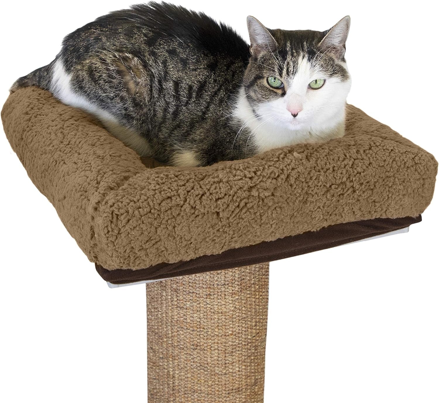 Kitty City Sisal Post Cat Scratchers, Perch Cushion, and Replacement Parts