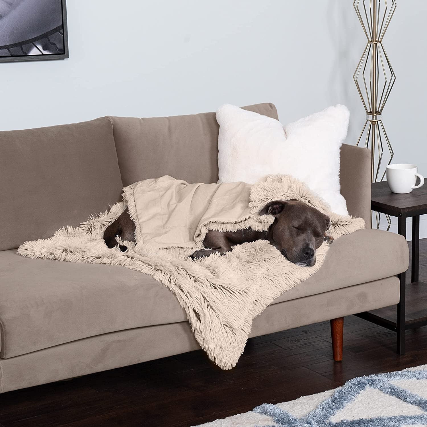 Furhaven Waterproof Throw Blanket for Dogs & Indoor Cats, Washable - Shaggy Plush Calming Long Faux Fur & Velvet Dog Blanket - Taupe, Large