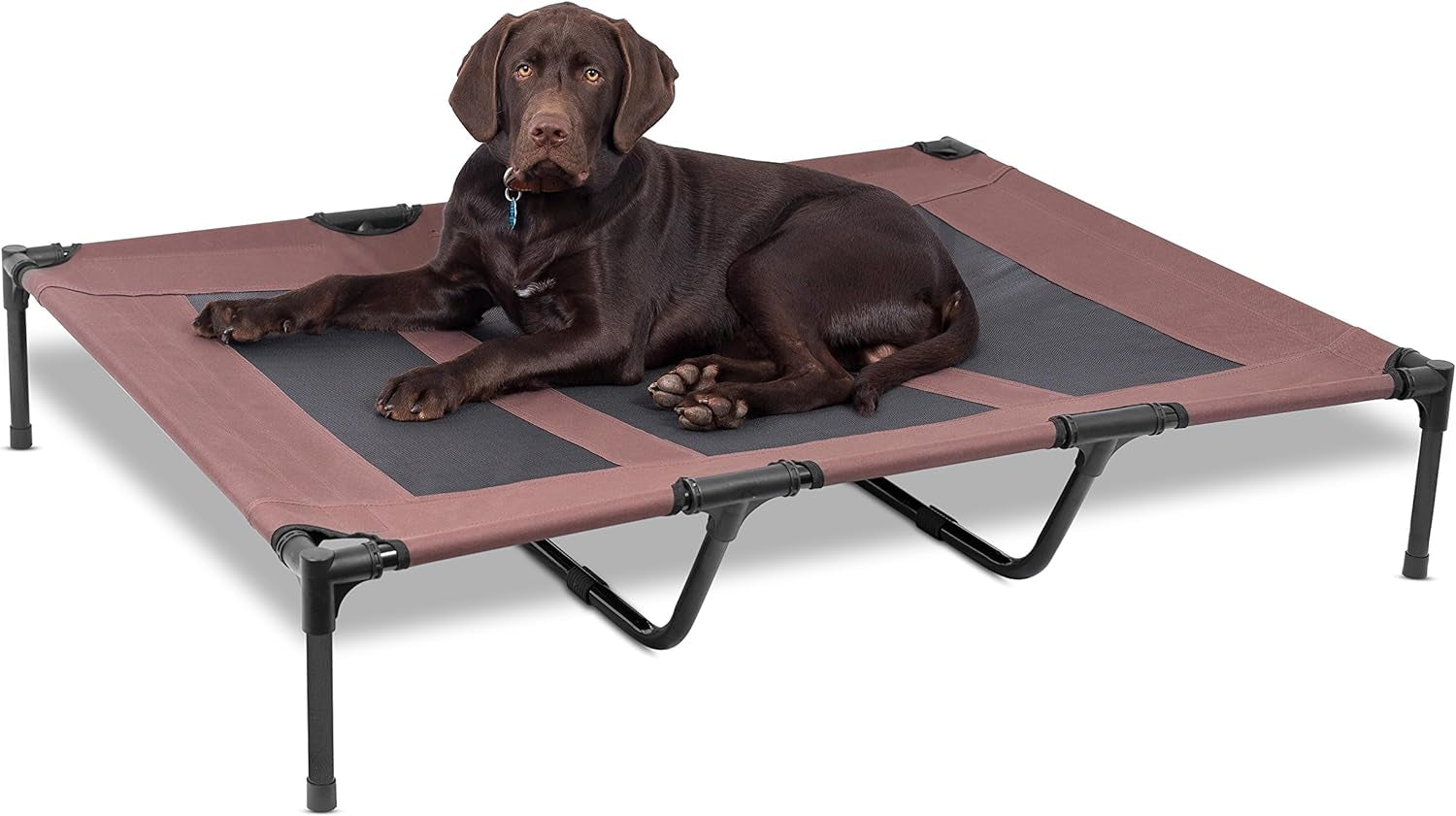 Internet'S Best BIRDROCK Home Dog Cot - 36 X 30 - Elevated Dog Bed - Cool Breathable Mesh - Indoor or Outdoor Use - Medium - Brown