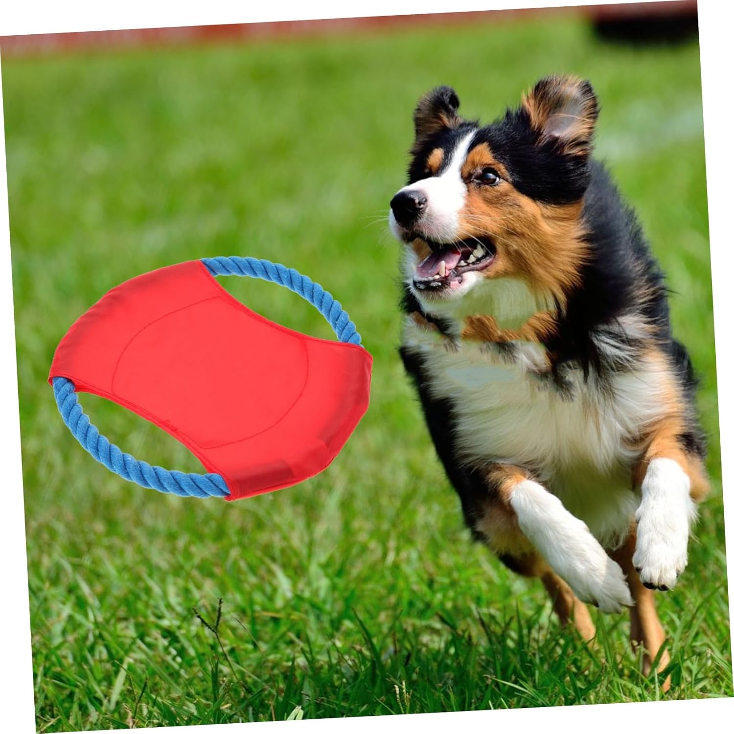 2 Pcs Flying Disk Toys Special Throwing Disc Toys Dog Throwing Discs Toy Dogman Toys Golden Retriever Dog Training Flyer Toy Puupy Soft Disc Flying Discs Toy Pet