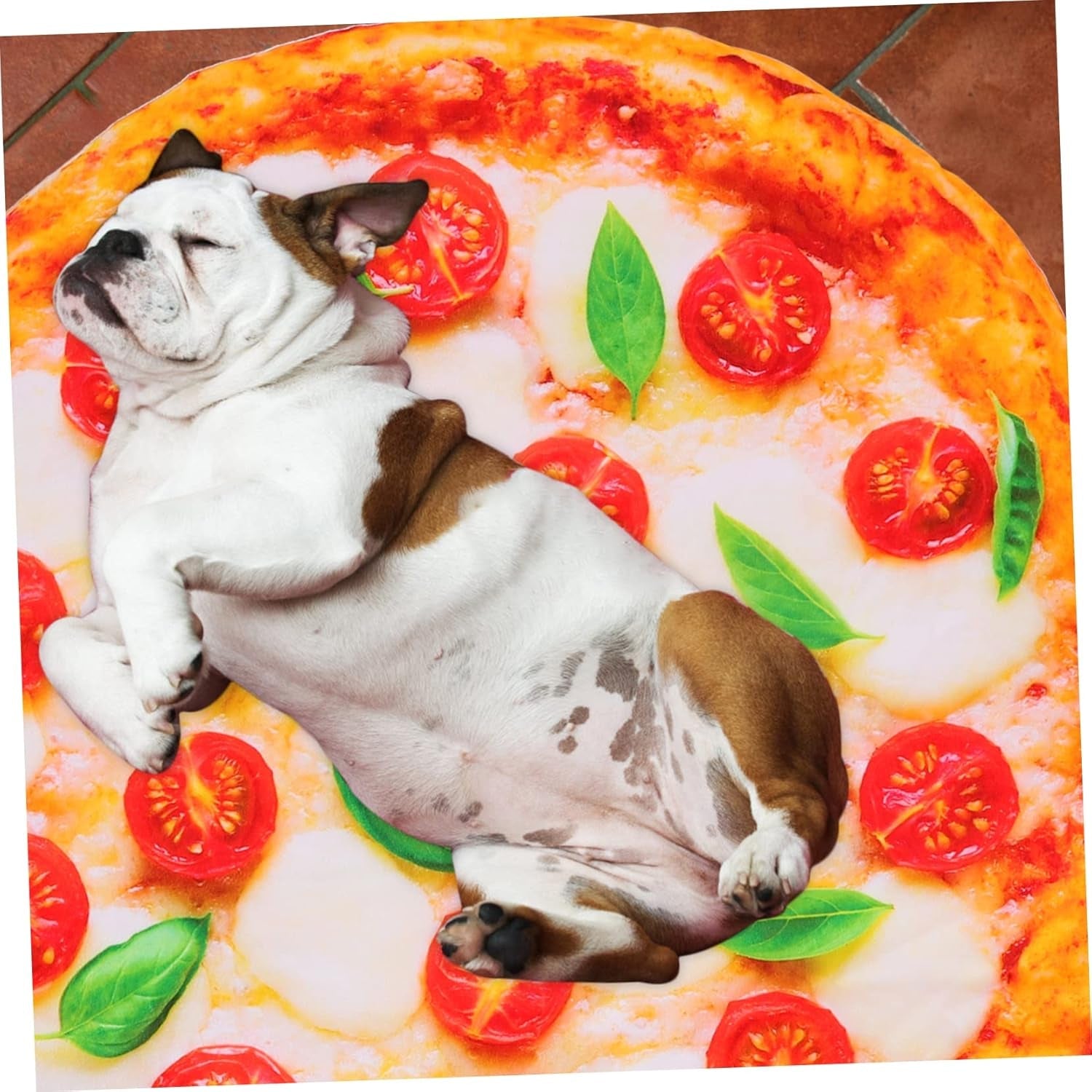 1Pc Pet Mat Dogs and Cats Mattress Pizza Blanket Pet Sleeping Pads Puppy Blanket Pet Bed House Plush Mattress Pet Bed Blankets Pet Floor Pad Dog Cushion Food Cloth Carpet