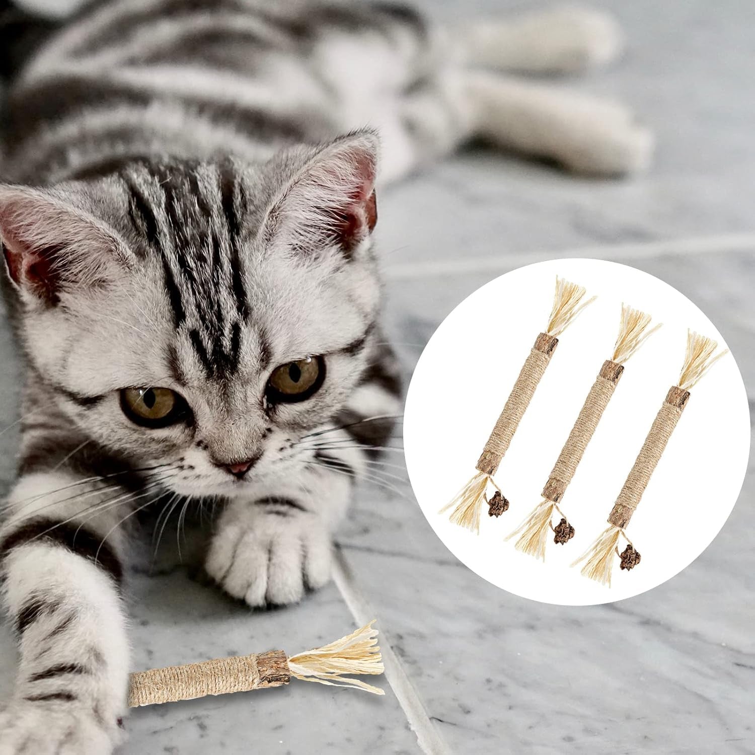 3Pcs Natural Silvervine Sticks, Silvervine Cat Toys Catnip Chew Sticks for Cats Kitten Teething Toys Cat Teeth Cleaning Toy