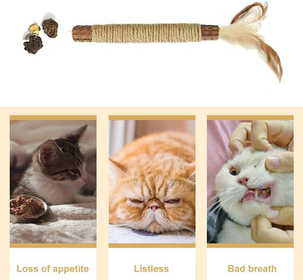 3Pcs Natural Silvervine Sticks Catnip Chew Toys for Cats,Teeth Cleaning Cat Chew Toys Feather Sticks,Toys for Indoor Cats,Increase Appetite Calm Cat Anxiety and Stress(Brown)