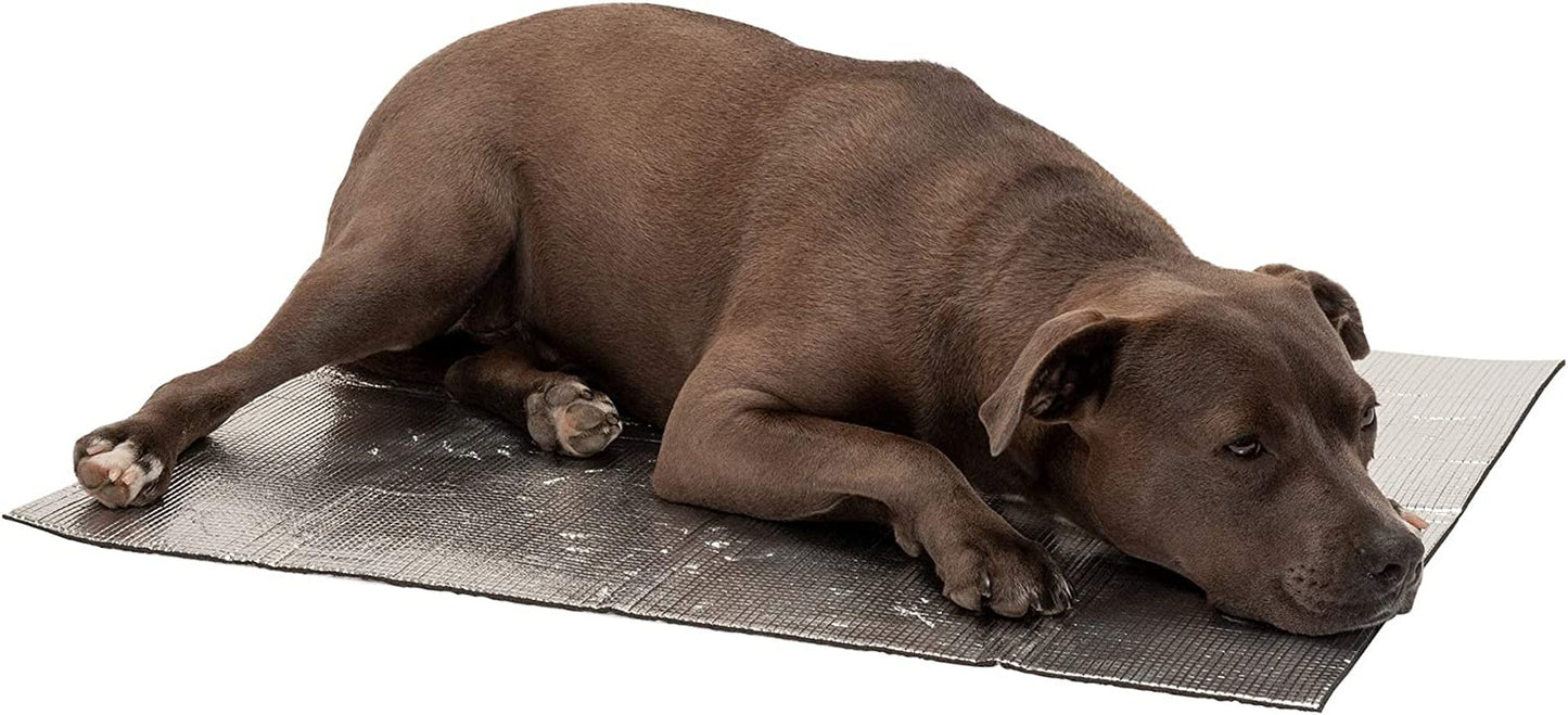 Furhaven Self-Warming Mat for Dogs Beds & Blankets, Electricity-Free & Reflects Body Heat - Thermapup Reflective Thermal Insert - Silver, Large