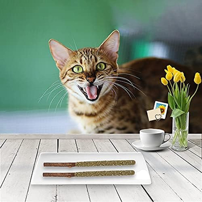 20Pack Silvervine Cat Toy，Silvervine Sticks for Cats，Catnip Silvervine Chew Sticks，Catnip Cat Toy，Sticks Teeth Molar Chew Toys，Indoor Cat Toys (20Pcs-)