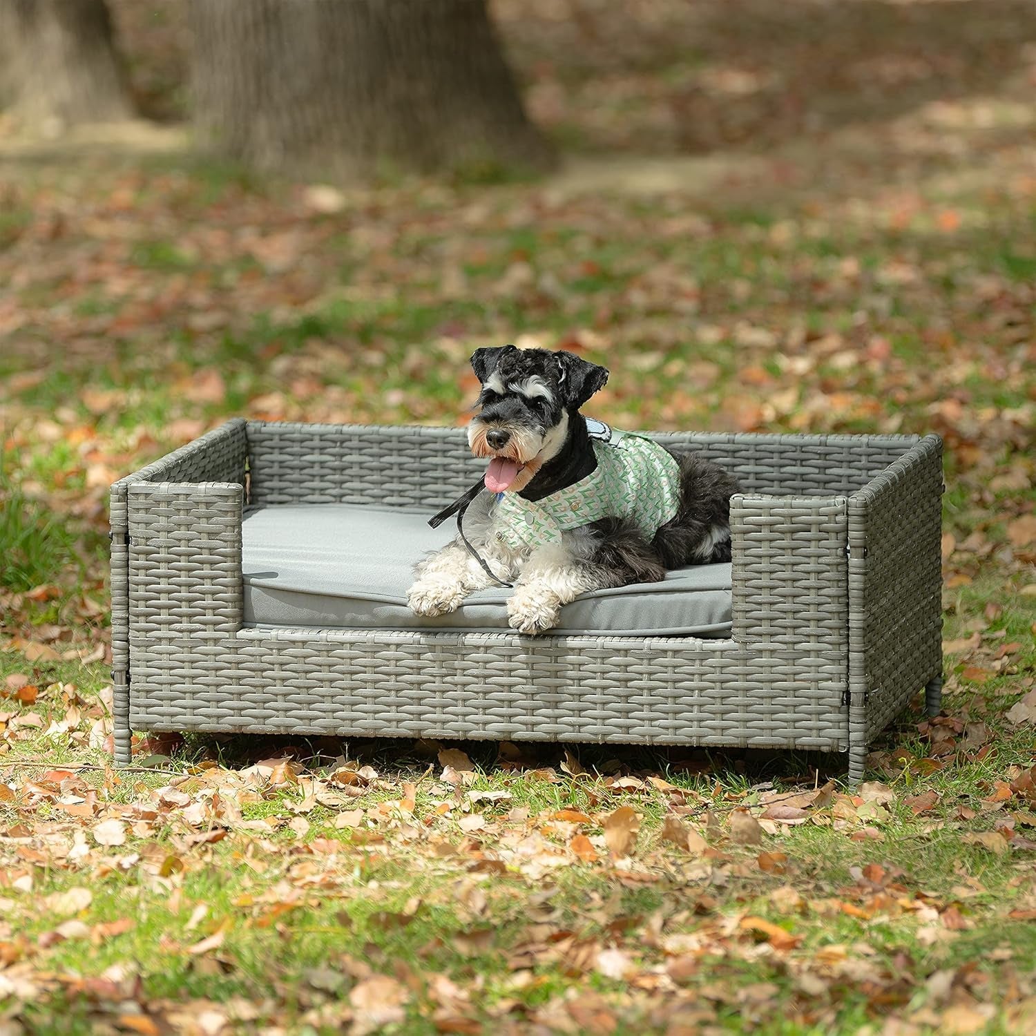 Dog Bed, Pet Couch for Large Medium Sized Pet Enclosures, Outdoor Indoor Furniture, Patio Furniture, Seasonal PE Wicker Pet Furniture, Cat Bed with Cushion