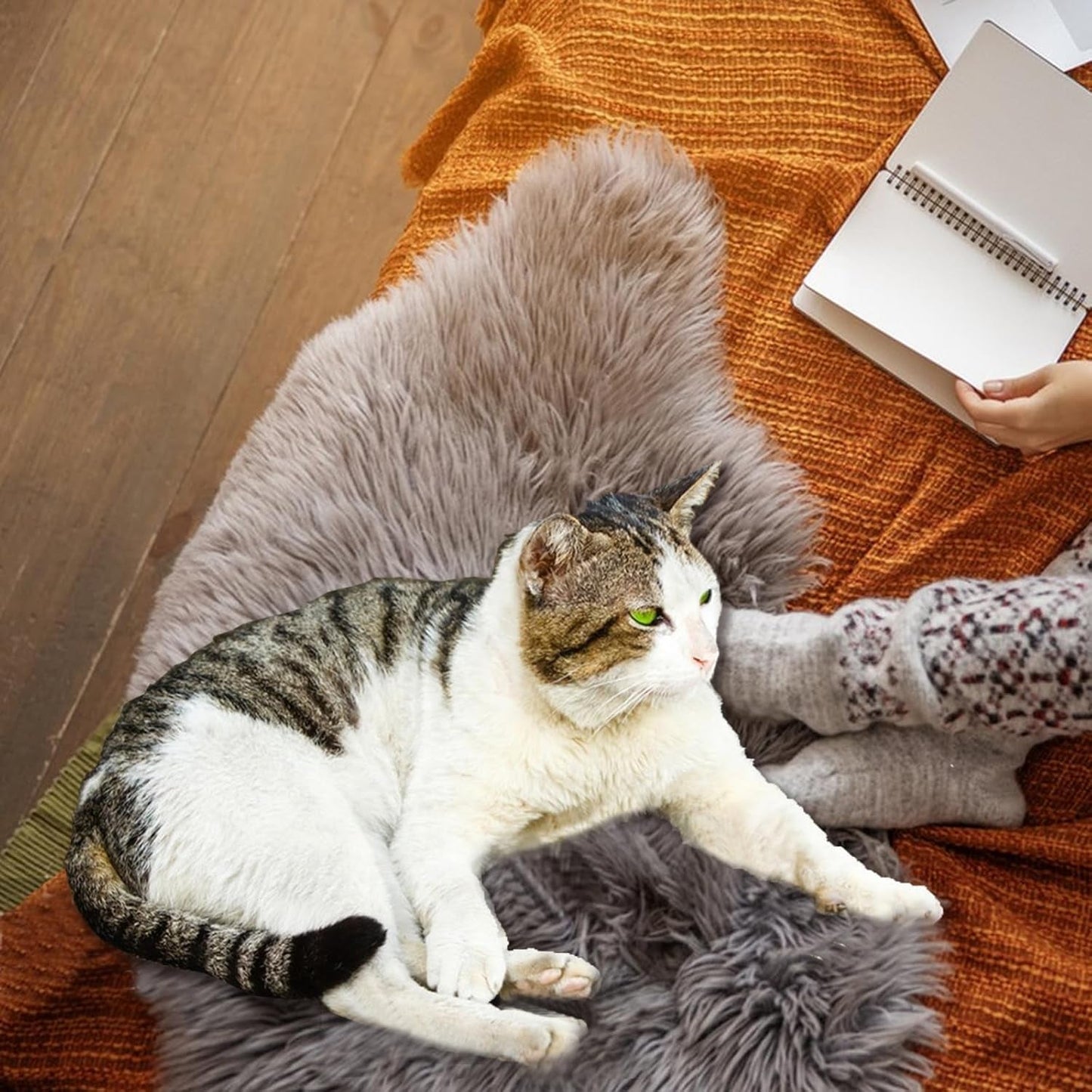 Fluffy Pet Dog Cat Bed Mat, Washable Super Soft Plush Faux Fur Warm Area Mat Pad for Indoor Pet Cat Dog Small Sleep Cushion