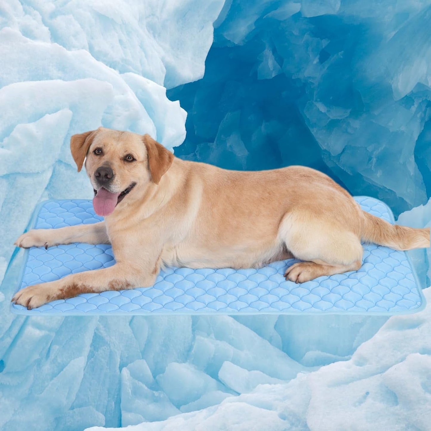 Dog Cooling Mat - Self Cooling Mat for Small Medium Large Dogs,Easy Washable,Water Absorption Top,Materials Safe,