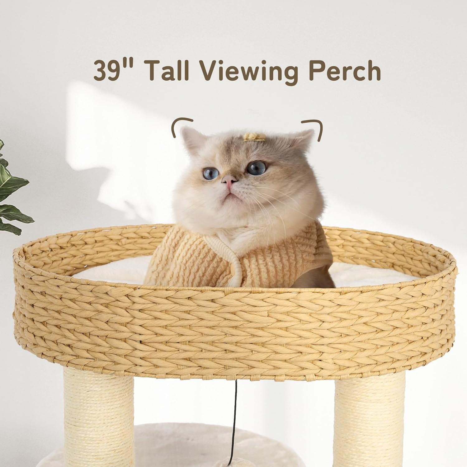 KAMABOKO Modern Cat Tree, Cat Tree for Indoor Cats W/Natural Sisal Scratching Posts, Hand-Woven Condo & Top Perch, 39" Tall Cat Tree for Kittens Climb Play & Rest