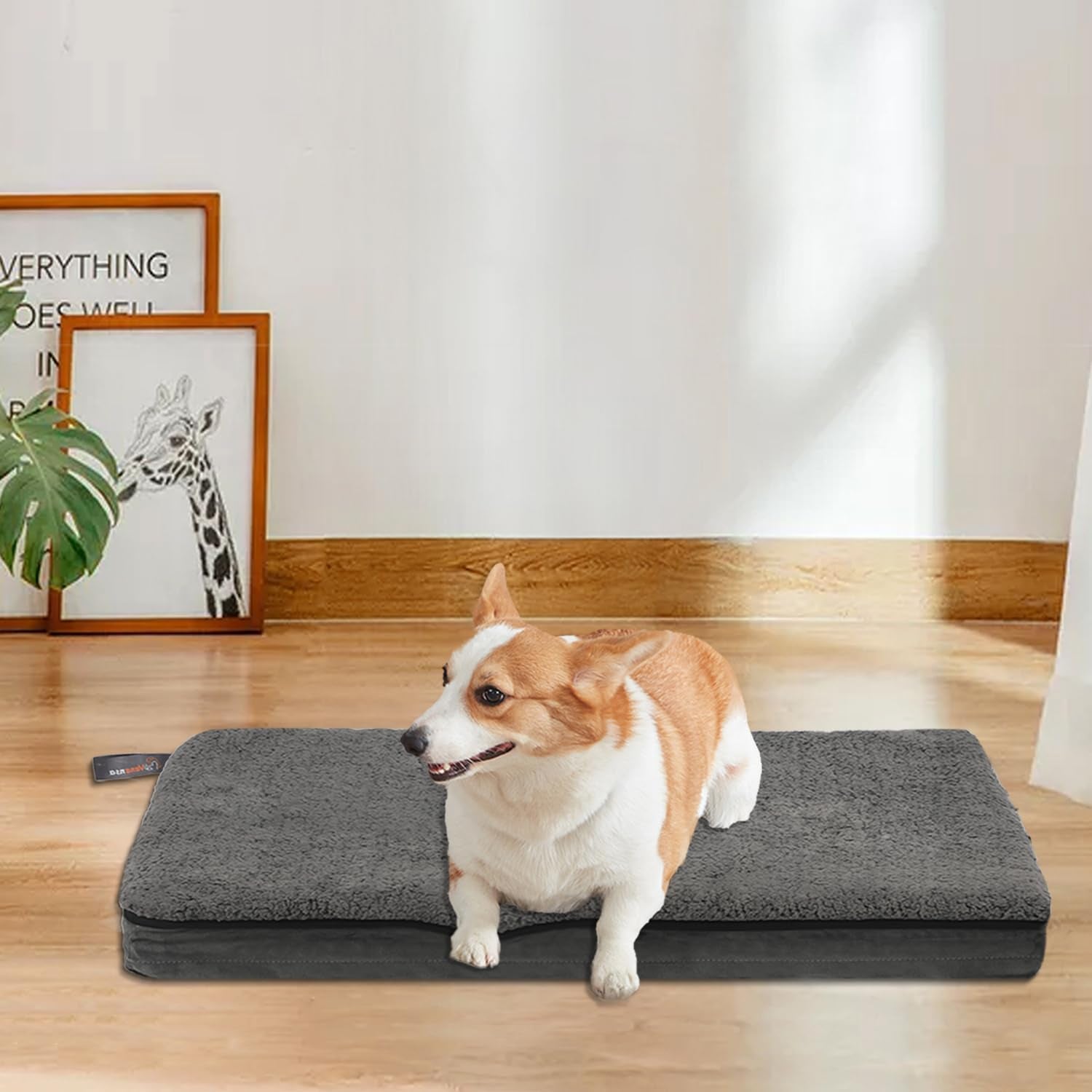 Dog Beds for Small Dogs,Large,Medium,High Elastic Memory Foam Dog Bed Available All Year Round,Dog Crate Mat with Waterproof Removable Machine Washable Cover,Dog Crate Pad with Non Slip