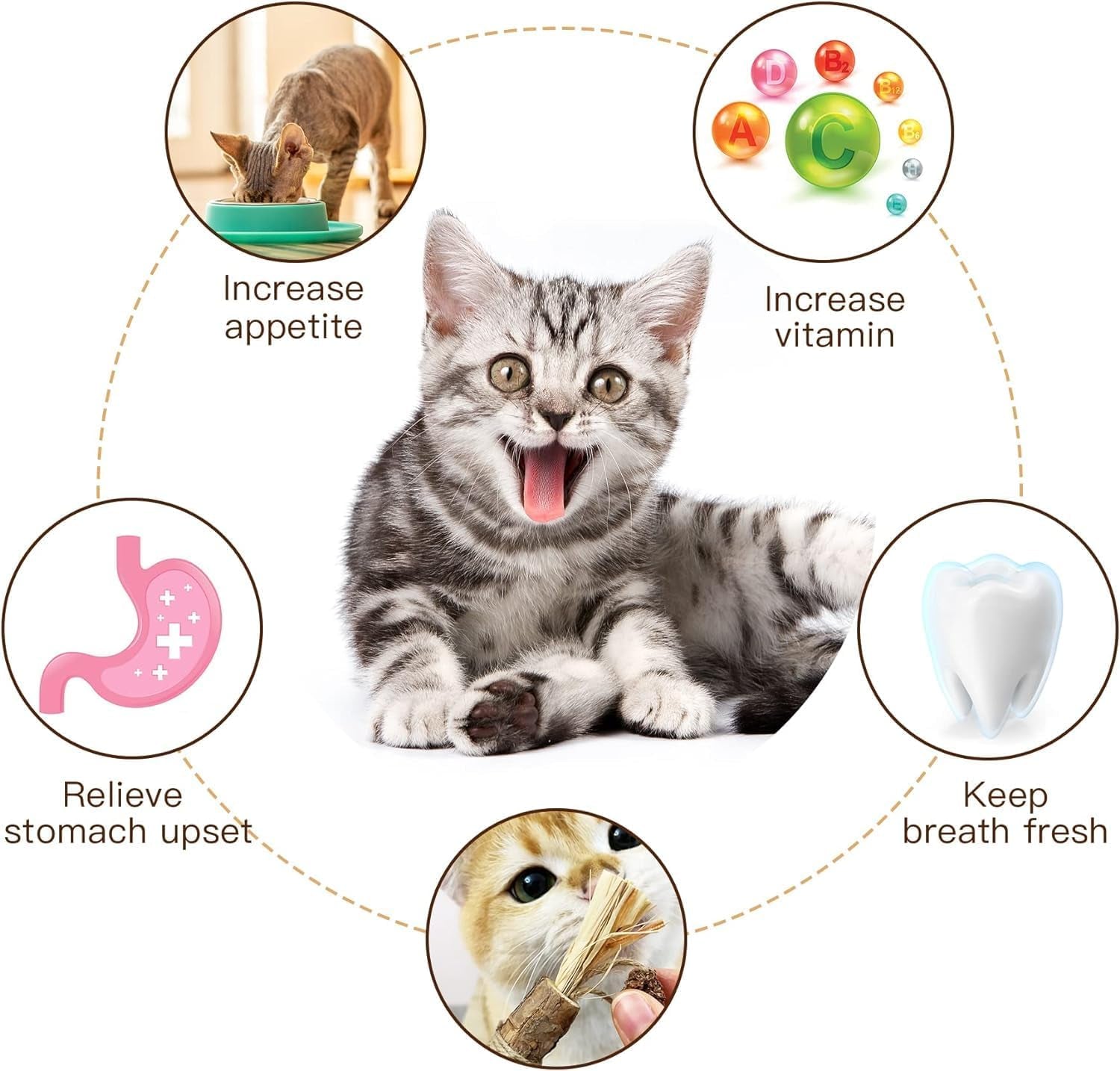 Chew Toys for Cats(12 Pcs), Silvervine Sticks for Cats ，Cat Teething Toys, Catnip Chew Sticks ，Cat Toys for Indoor Cat Kitten Teeth Grinding，Silvervine Cat Feather Toy, Cat Chew Toy