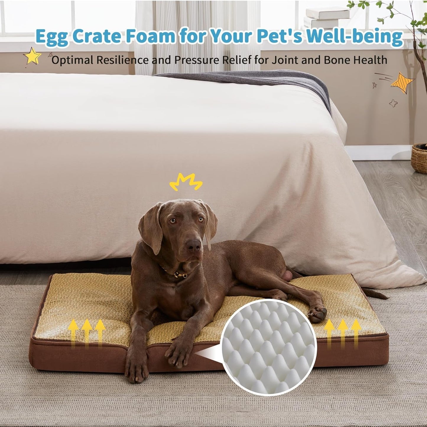 Made4Pets Dog Beds for Medium Dogs, Egg Memory Foam Large Dog Bed with Removable Cover, Waterproof Pet Bed Mattress for Large Cats, Washable Plush and Cool Cover, 34 X 25 Brown