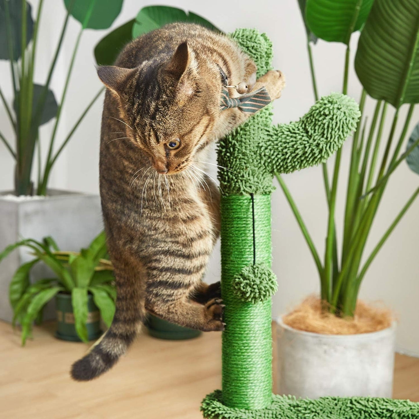 31" Cactus Cat Tree with Hammock and Full Wrapped Sisal Scratching Post for Small Cats Only Brown Medium