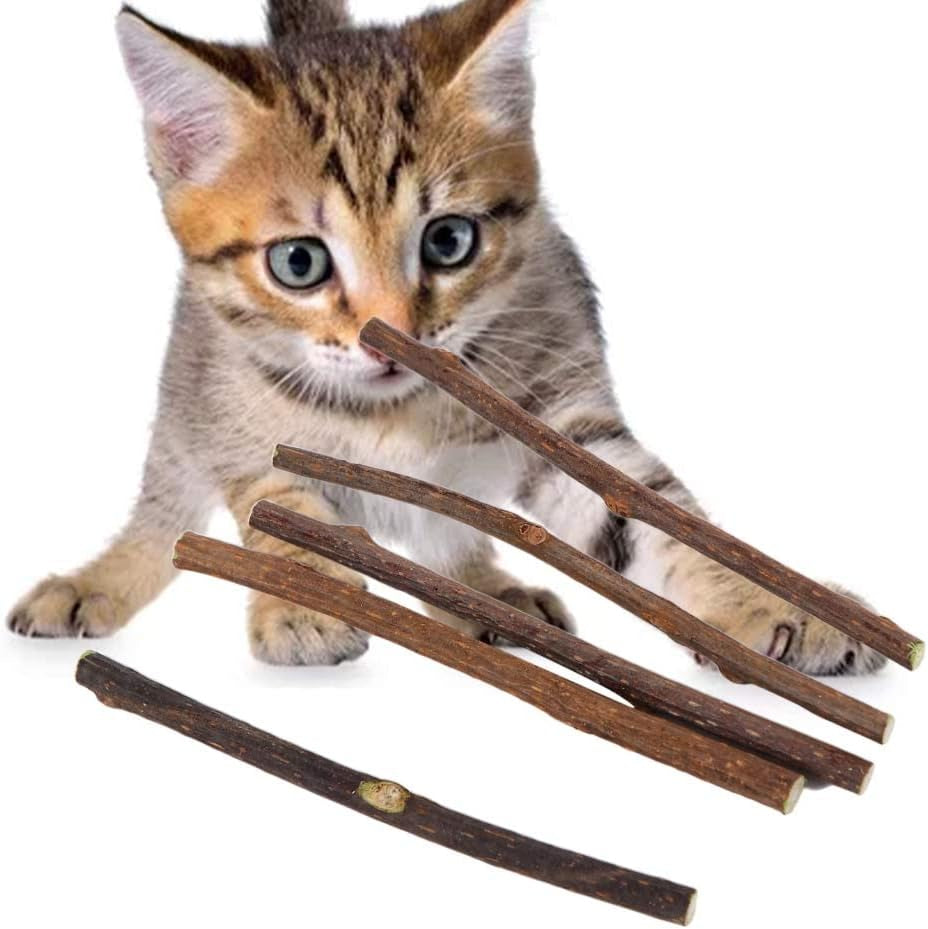 20 PCS Cat Catnip Sticks,Cat Interactive Kitty Cat Toys Cat Mint Stick Cat Snacks to Relieve Boredom Chew Sticks Cat Teeth Cleaning Chew Toy Catnip Mouse Cat Toy