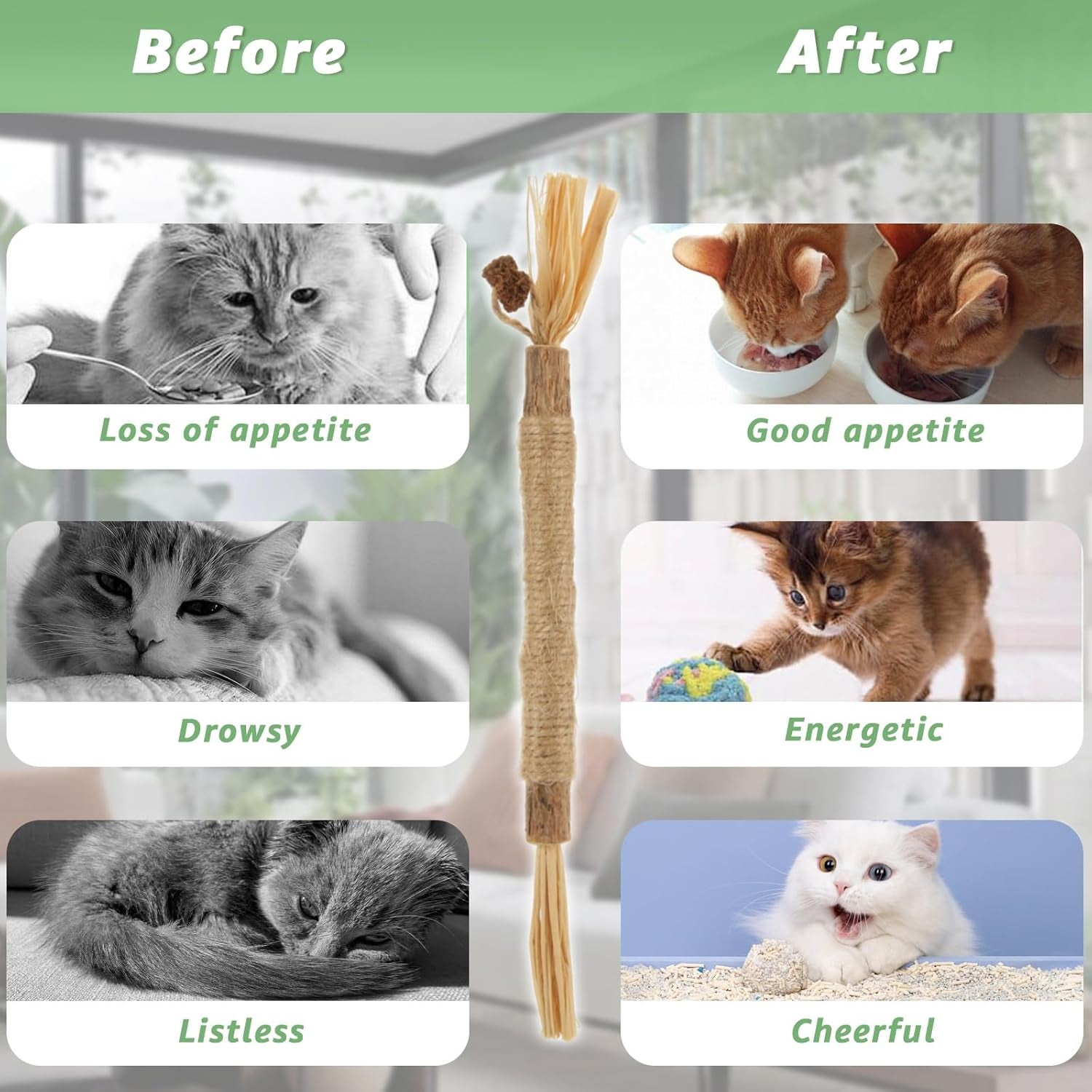 20Pcs Silvervine Sticks for Cats, Cat Chew Sticks, Natural Catnip Toys for Kittens Dental Care, Calm Cat Anxiety and Stress, Increase Appetite Cat Toys