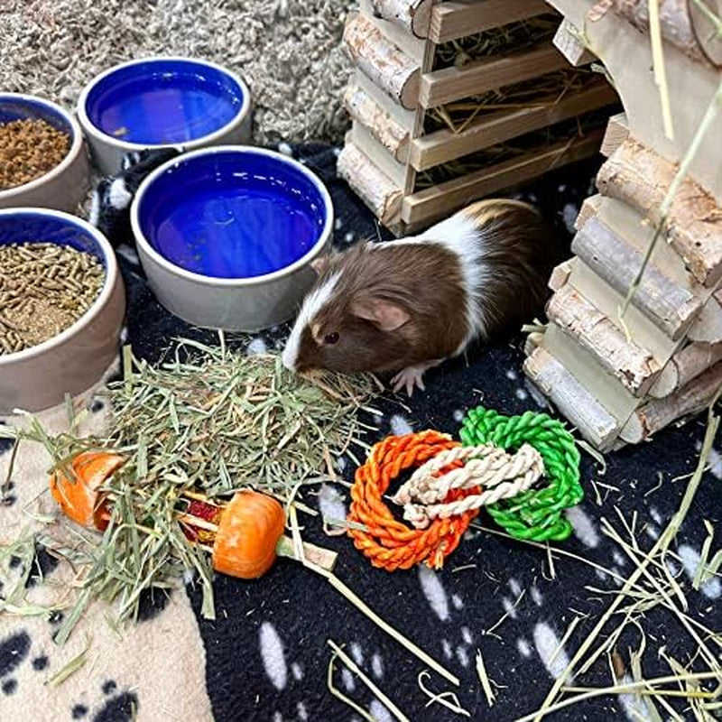 | 15 Oz. Fresh Organic Oat Grass Hay | Nutritious, Delicious Meal or Snack for Rabbits, Guinea Pigs, Chinchillas, Hamsters, Gerbils, & Other Small Pets | Available in 15 Oz. & 40 Oz.