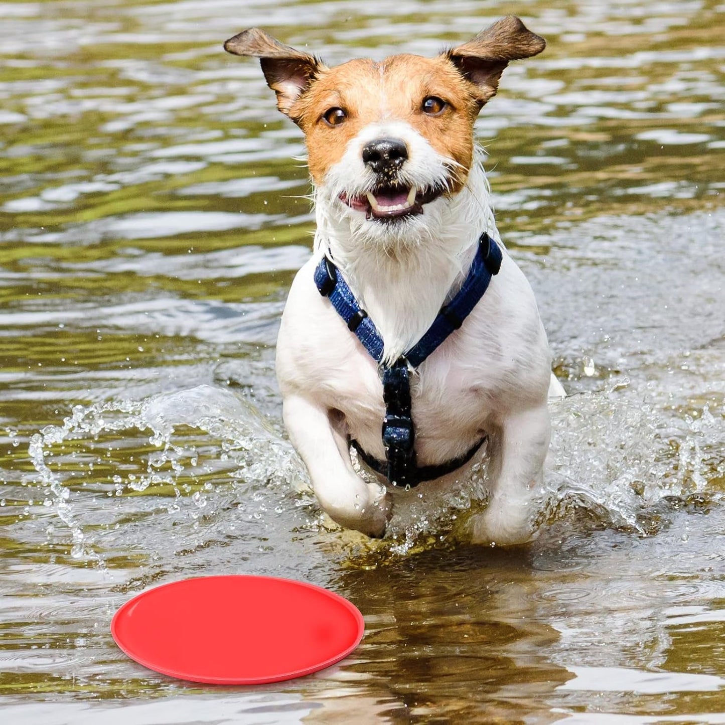 15 Pack Dog Flying Disc Silicone Puppy Flyer Toy Soft Dog Floating Saucer Indestructible React Faster Training Interactive Toys for Small Medium Dog Puppy Outdoor Sport Toys, 5 Colors