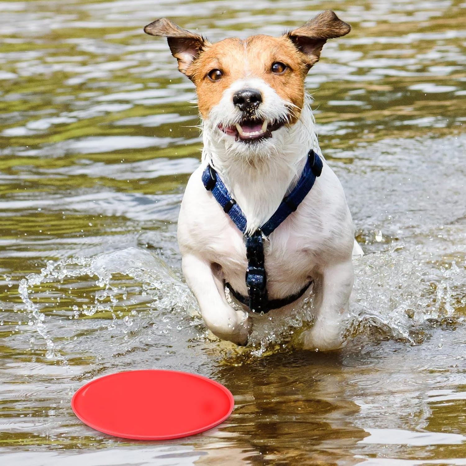 15 Pack Dog Flying Disc Silicone Puppy Flyer Toy Soft Dog Floating Saucer Indestructible React Faster Training Interactive Toys for Small Medium Dog Puppy Outdoor Sport Toys, 5 Colors