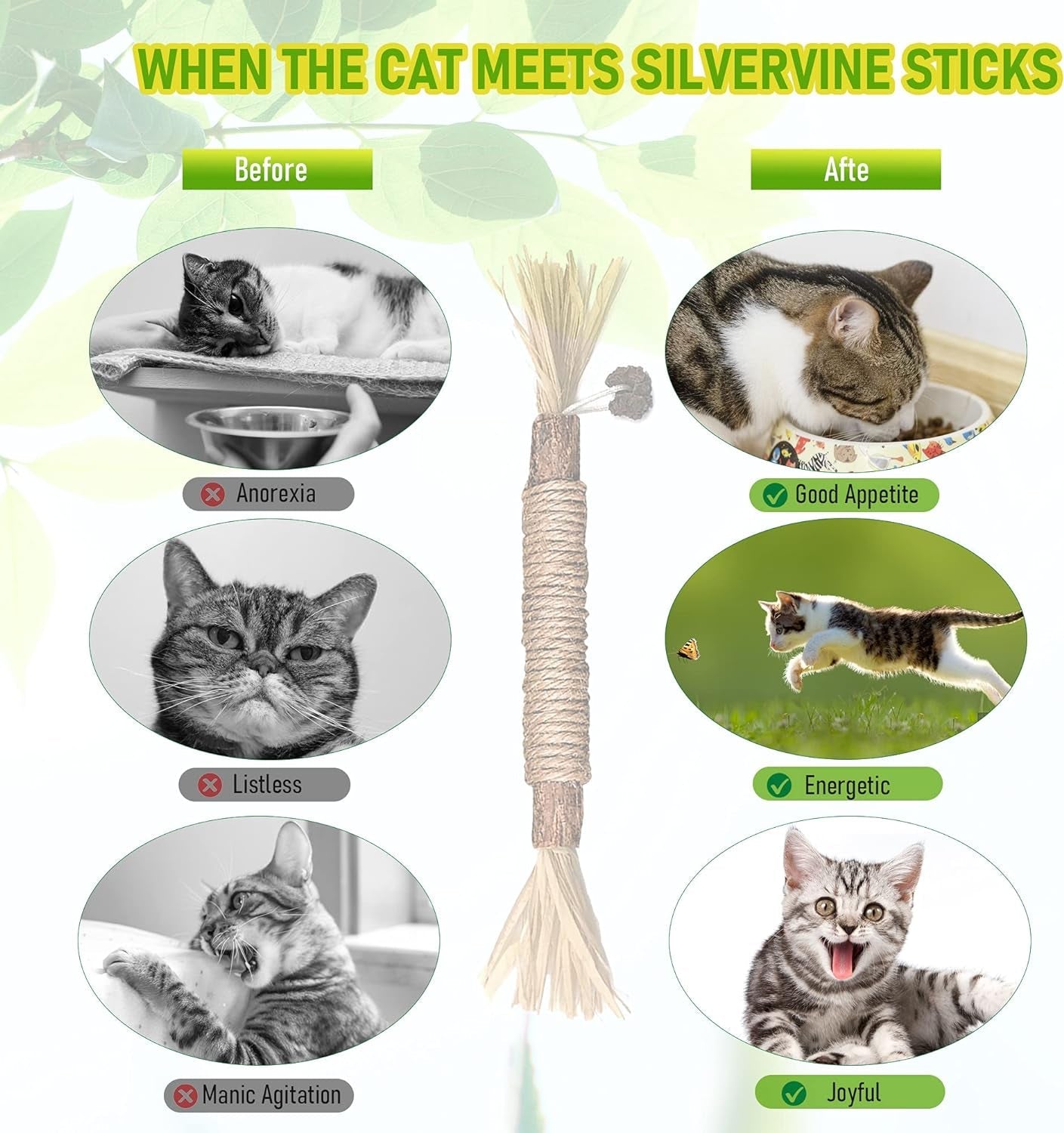 3 Pack Silvervine Cat Toy, Silvervine Sticks Cat Toys for Indoor Cats, Cat & Kitten Chew Toys for Aggressive Chewers, Cat Dental Toy for Kitten Teeth Cleaning, Matatabi Silvervine for Cats