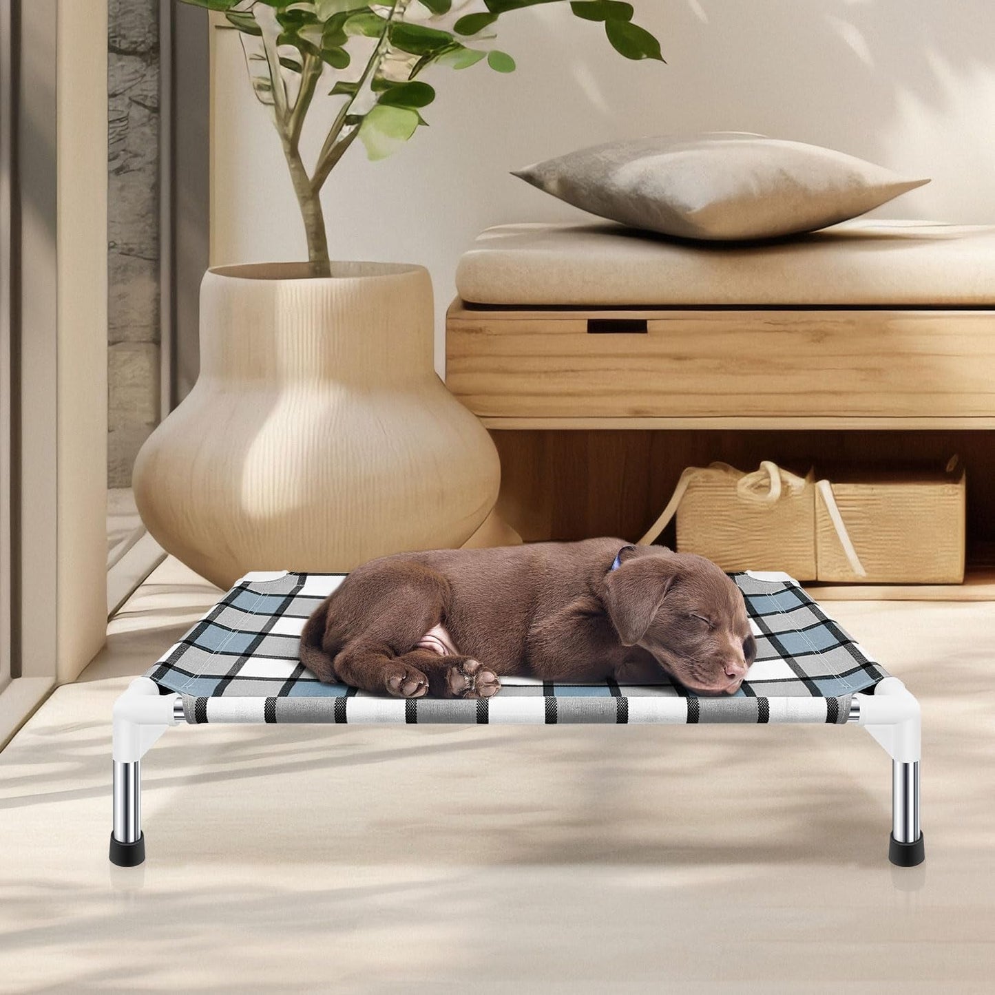 Elevated Dog Bed Raised Dog Bed - Dog Bed Pet Bed Dog Cot for Small Pet Taste Life, Start with a Pet Bed