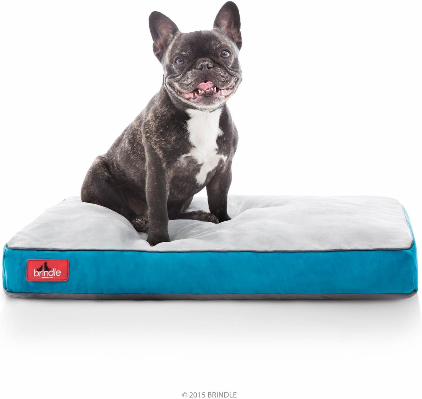 BRINDLE Khaki Shredded Memory Foam Pet Bed - Pet Essentials - Orthopedic Design - Pet Crate Compatible - Machine Washable Cover - Indoor Pet Bed for Dogs, Puppies, Cats, and Rabbits - Size Medium