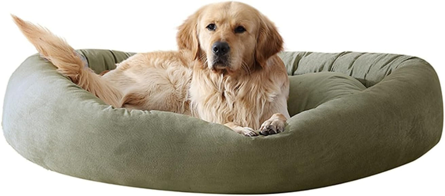 Arlee Orbit Orthopedic Memory Foam Dog Bed - Premium, Durable, Washable, and Easy to Clean Fabric, Chew Proof Pet Bed for Large and Extra Large Dogs, Designed for Ultimate Comfort - Aloe(L)