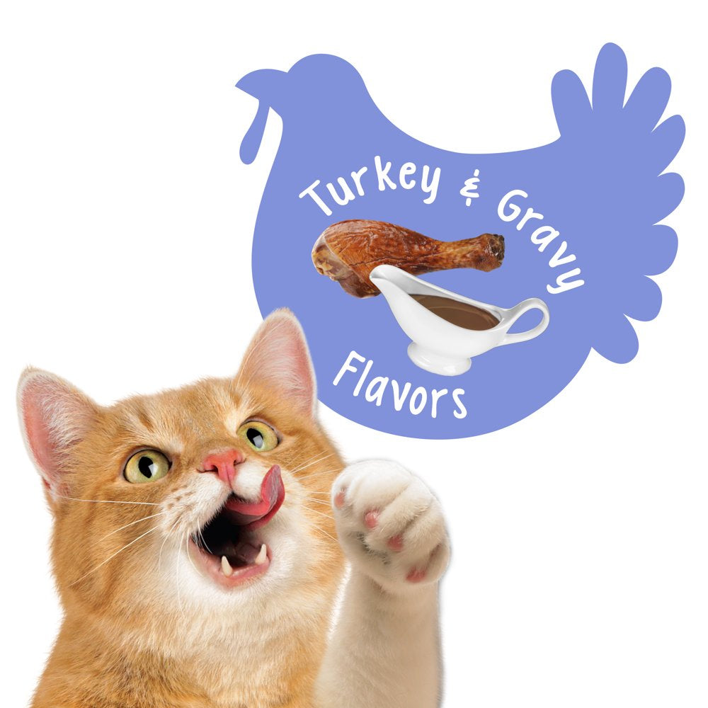 Friskies Cat Treats, Party Mix Crunch Gravylicious Turkey & Gravy Flavors, (6) 6 Oz. Bags Animals & Pet Supplies > Pet Supplies > Cat Supplies > Cat Treats Nestlé Purina PetCare Company   