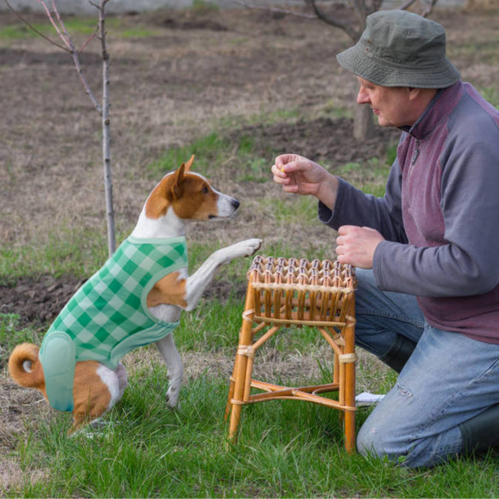 Kuoser Pet Recovery Suit for Dogs Cats after Surgery Breathable Onesie Post Surgery Shirt Professional Pet Recovery Shirt for Puppy, Wound Protective Clothes for Little Animals Animals & Pet Supplies > Pet Supplies > Dog Supplies > Dog Apparel Kuoser   