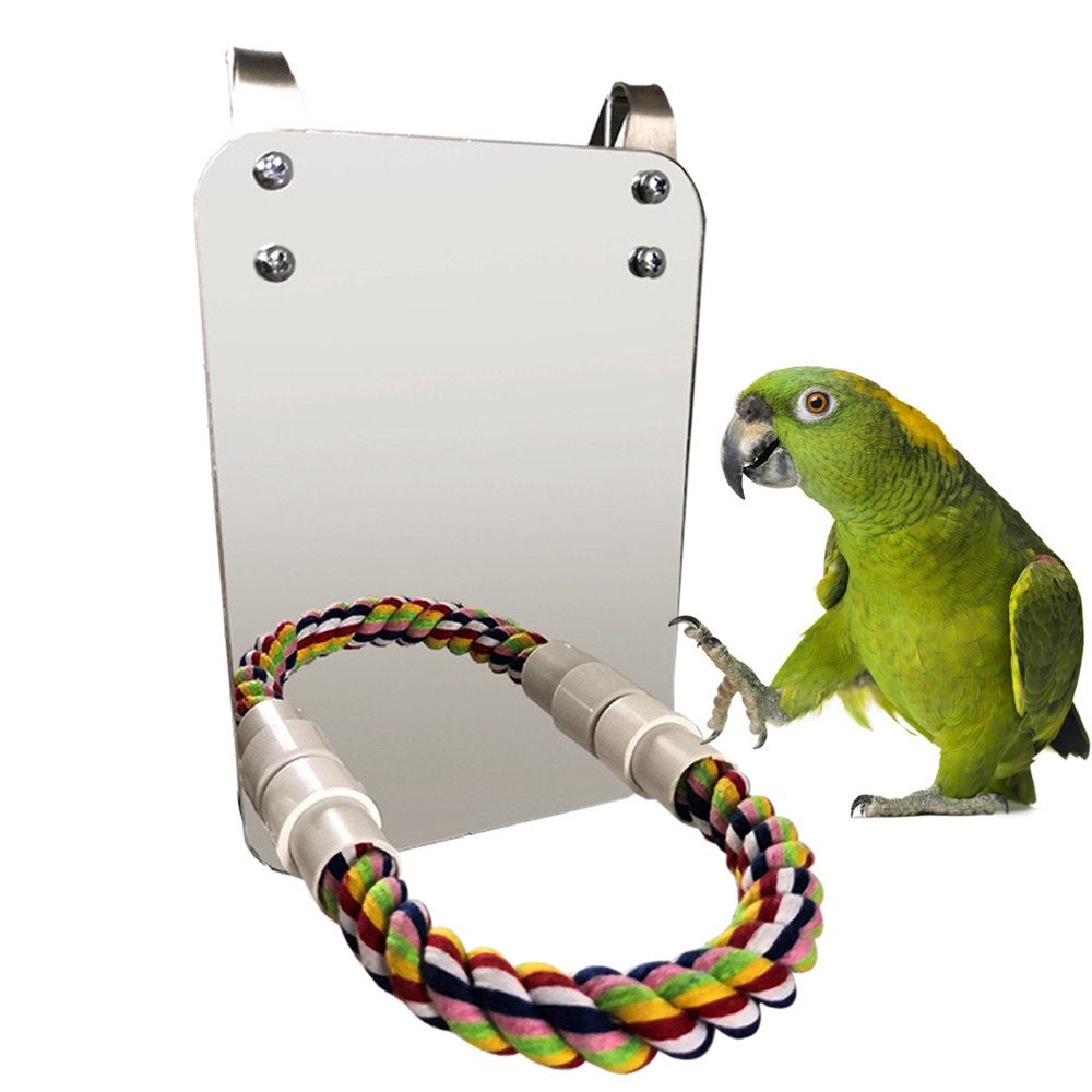 Bird Perch Creative Bird Stand Perch Bird Cage Toy Parrot Chew Toy with Mirror Animals & Pet Supplies > Pet Supplies > Bird Supplies > Bird Toys Bangcool   