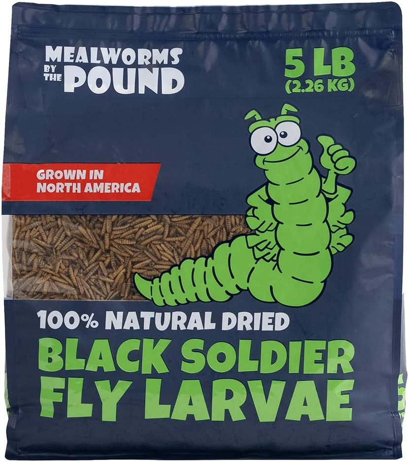 Mealworms by the Pound Bulk Dried Black Soldier Fly Larva - Treats for Chickens & Wild Birds (5 Lbs) Animals & Pet Supplies > Pet Supplies > Bird Supplies > Bird Treats Mealworms by the Pound   