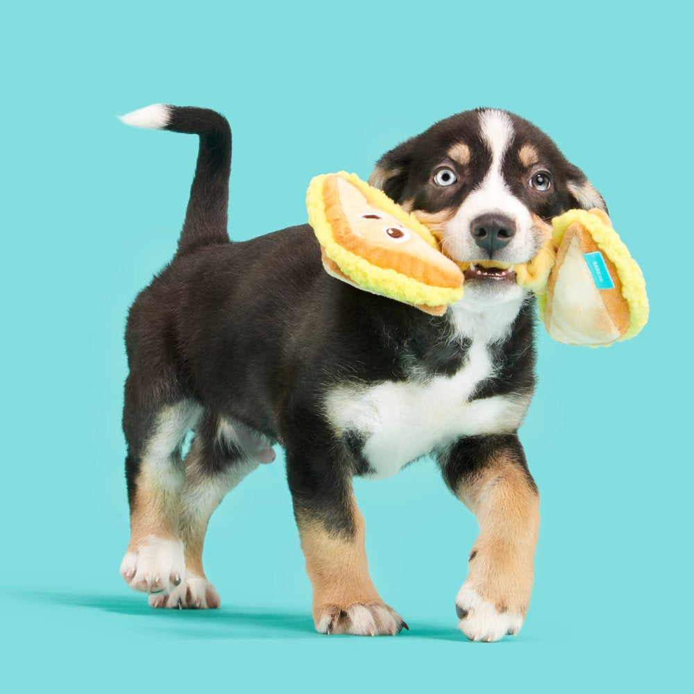 BARK Main Squeeze Cheese Dog Toy - Features Super Stretch Bungee, Xs to Medium Dogs Animals & Pet Supplies > Pet Supplies > Dog Supplies > Dog Toys BARK   