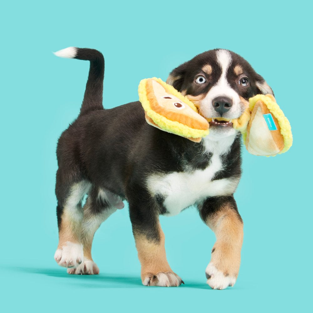 BARK Main Squeeze Cheese Dog Toy - Features Super Stretch Bungee, Xs to Medium Dogs