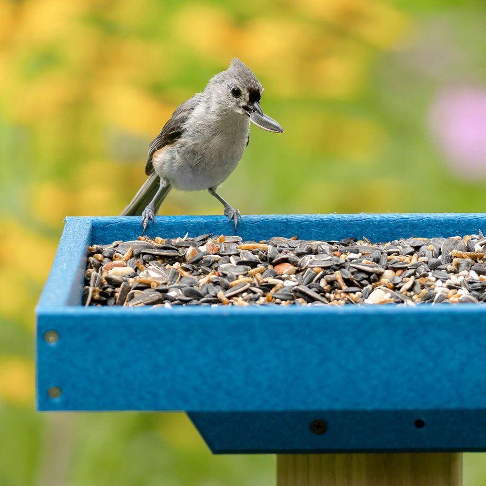 Audubon Park Mealworm Blend Wild Bird Food, New, 5 Lb. Bag Animals & Pet Supplies > Pet Supplies > Bird Supplies > Bird Food Global Harvest Foods Ltd.   