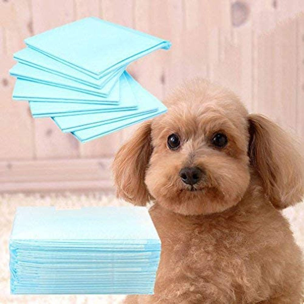 Dog and Cat Diapers Super Absorbent for Dog and Cat Training Urine Pads Animals & Pet Supplies > Pet Supplies > Dog Supplies > Dog Diaper Pads & Liners DMM   