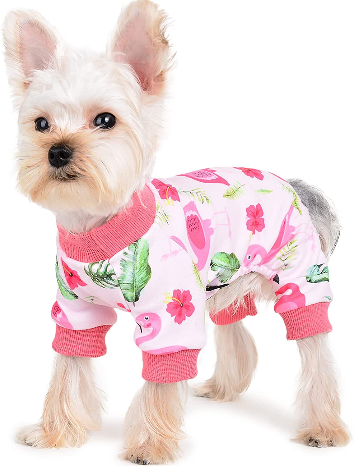 Yikeyo Dog Pajamas, Fall Winter Pink Dog Clothes for Small Medium Dogs Girl, Cat Apparel Outfit (Purple, X-Small) Animals & Pet Supplies > Pet Supplies > Dog Supplies > Dog Apparel Yikeyo Flamingos X-Small 