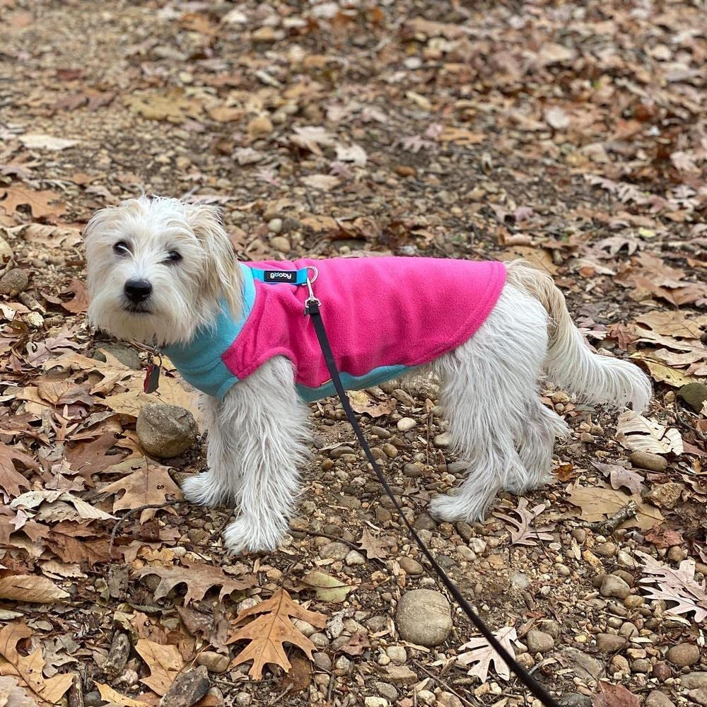 Gooby Half Stretch Fleece Vest Dog Sweater - Pink, Small - Warm Pullover Fleece Dog Jacket with D-Ring Leash - Winter Small Dog Sweater Coat - Cold Weather Dog Clothes for Small Dogs Boy or Girl Animals & Pet Supplies > Pet Supplies > Dog Supplies > Dog Apparel Inafiction USA, Inc. dba Gooby Pet Fashion   