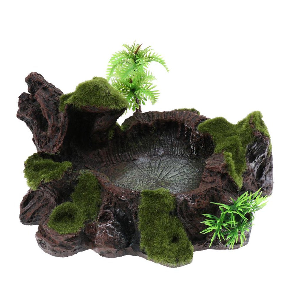 Plant Decor Resin Amphibians and Reptile Feeding Water Drinking Food Dish Tray Pet Tortoise Gecko Spider Animals & Pet Supplies > Pet Supplies > Reptile & Amphibian Supplies > Reptile & Amphibian Food Generic   