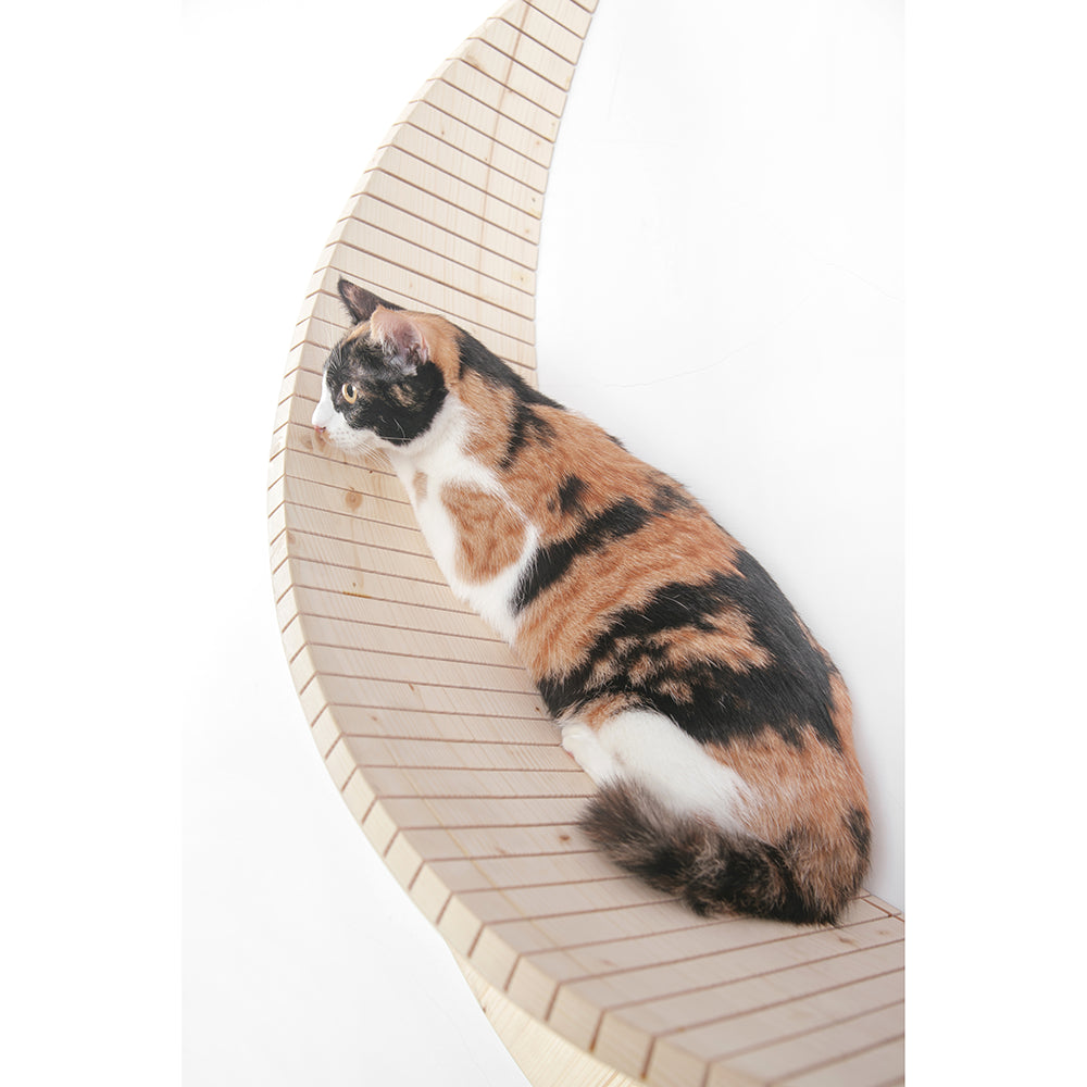 Luna Crescent Moon Shape Wall Mounted Cat Bed Animals & Pet Supplies > Pet Supplies > Cat Supplies > Cat Beds Myzoo   